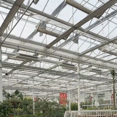 Estufas de vidro de duas camadas e de vários sistemas para o cultivo de flores
