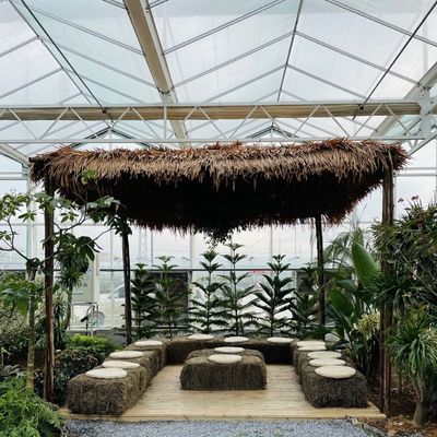 100.000kg Pacote Peso Bruto Estufa de vidro multi-espans para cultivo de flores