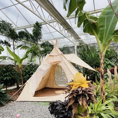 Transforme o seu negócio de cultivo de flores com uma estufa de vidro hidropônico de camada única
