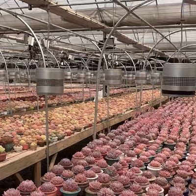 Sistema de hidroponia de estufa de vidro para o cultivo de flores um tipo de telhado