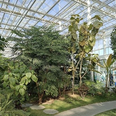 Pacote de Estufas de Vidro para o Cultivo de Flores Peso Bruto 100.000kg e um telhado de tipo