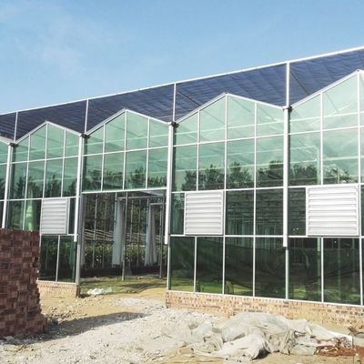 Pacote de Estufas de Vidro para o Cultivo de Flores Peso Bruto 100.000kg e um telhado de tipo