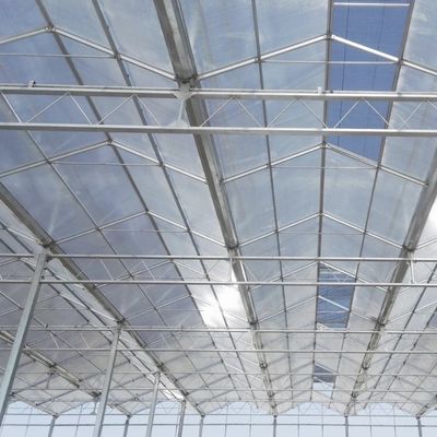 Estrutura de aço Estufa de vidro para flor Construção forte e resistente