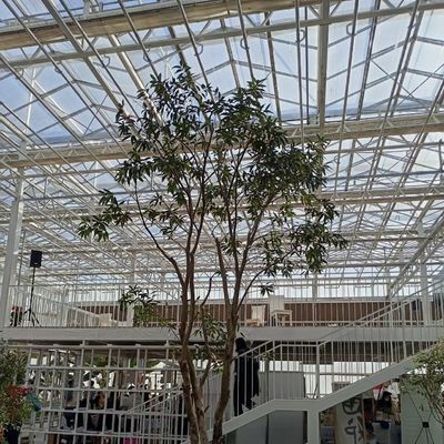 Estufa de vidro de camada única para cultivo de flores Um tipo de telhado de vidro