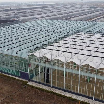 Estufa de vidro de camada única para cultivo de flores Um tipo de telhado de vidro