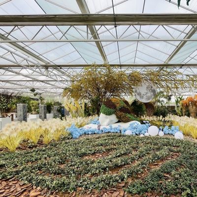 Estrutura de aço Origem chinesa Estufas de vidro hidropónico para materiais de construção