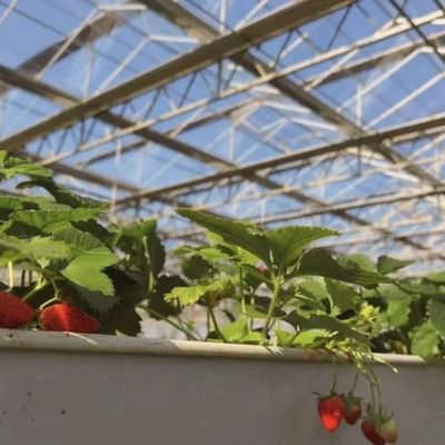 Sistema de flor hidropónico Estufas de vidro do tipo A para grande produção comercial