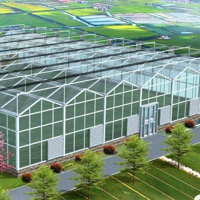 Sistema hidropónico de estufa de vidro de camada dupla para cultivo de flores 30 dias de reembolso