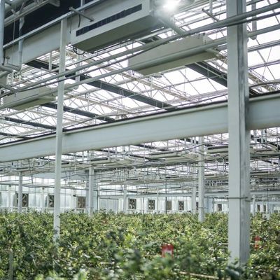 Roofing Formar um tipo de telhado de estufa para sombra tela de vidro cultivo de flores