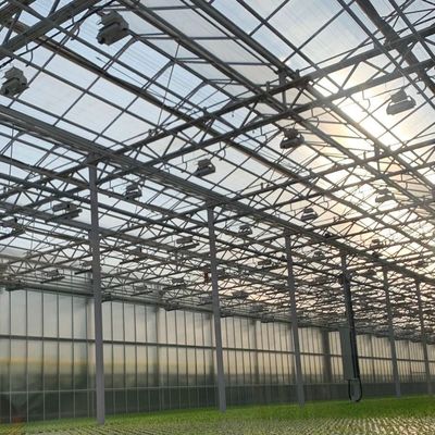 Instalação hidropónica de vidro de alta transmissão luminosa para estufas comerciais com pagamento integral