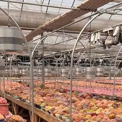 Frigorífico de vidro flutuante para vegetais Multi-Span Design