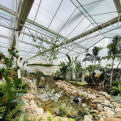 Frigorífico de vidro flutuante para vegetais Multi-Span Design
