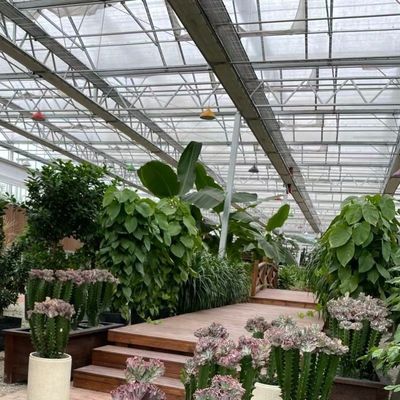 Sistema hidropónico de estufa de vidro de tela de sombra grande para o cultivo de culturas ideais