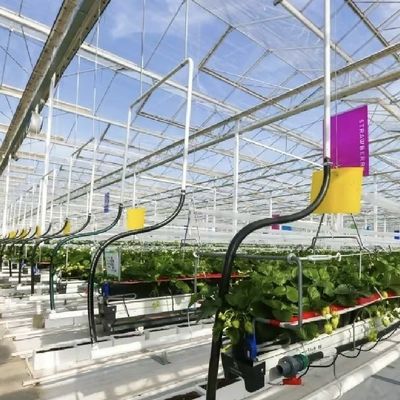 Sistema hidropónico de estufa de vidro de tela de sombra grande para o cultivo de culturas ideais