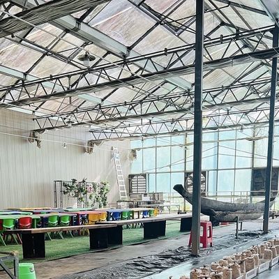 Pagamento inicial Estufas de vidro de origem chinesa com sistema hidropónico multi-espansão