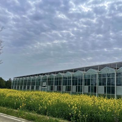 Pagamento inicial Estufas de vidro de origem chinesa com sistema hidropónico multi-espansão