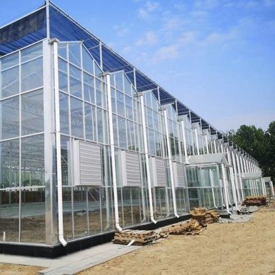 Pedido personalizado de instalação de estufas de vidro para irrigação por gotejamento