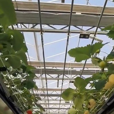 Instalação de vegetais hidropónicos em estufa de vidro Custos de envio e prazo de entrega estimado
