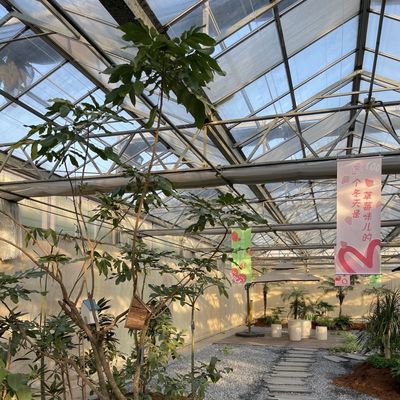 Estufas de vidro de alta transmissão luminosa para vegetais Restituições de devolução Até 30 dias