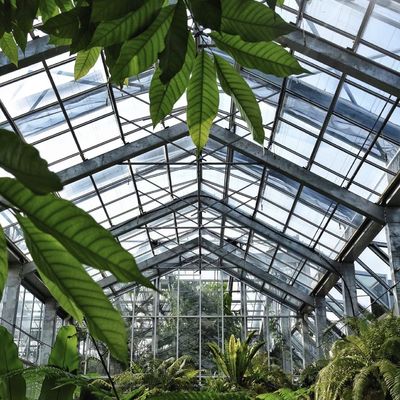 Estufas de vidro de alta transmissão luminosa para vegetais Restituições de devolução Até 30 dias