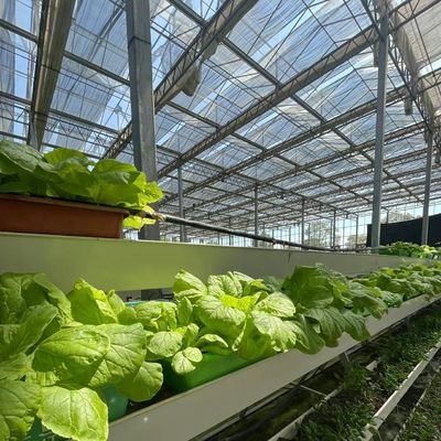 Estufas hidropónicas cobertas de vidro com tela de sombreamento e estrutura de aço