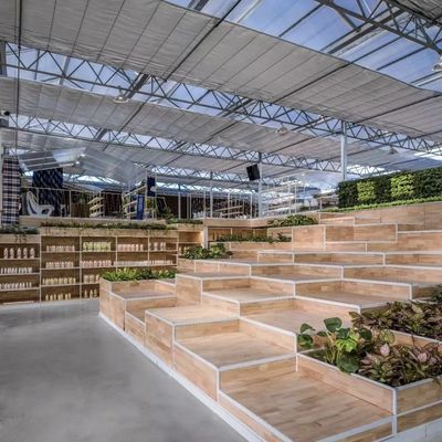 Grande estufa de vidro O ambiente perfeito para o cultivo de vegetais hidropônicos