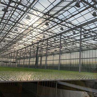 Estante de vidro elegante com plantação hidropônica de vegetais melhora a eficiência da sua agricultura