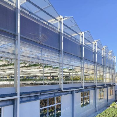 Estante de vidro elegante com plantação hidropônica de vegetais melhora a eficiência da sua agricultura