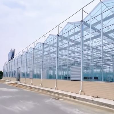 Sistema hidropónico Estufas de vidro multifuncionais JX-A00303 para um crescimento óptimo das culturas