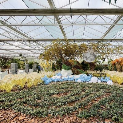 Estrutura de aço Estufas de vidro para crescimento de vegetais Grandes e multifuncionais