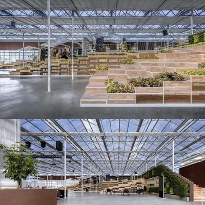 Estrutura de aço Estufas de vidro para crescimento de vegetais Grandes e multifuncionais