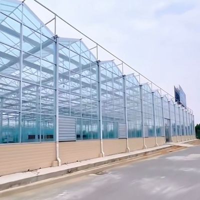 Frigorífico de vidro de origem chinesa com vegetais hidropónicos