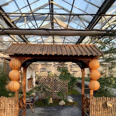 Frigorífico de vidro de origem chinesa com vegetais hidropónicos