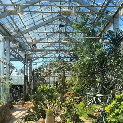 Frigorífico de vidro de origem chinesa com vegetais hidropónicos