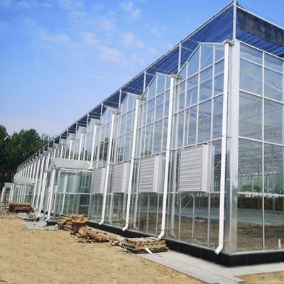 Sistema hidropónico de estufa de vidro de preço razoável para maximizar a utilização do espaço
