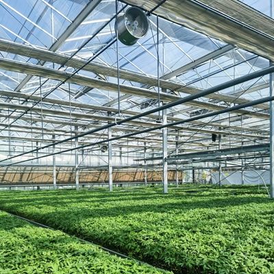 Sistema hidropónico de estufa de vidro de preço razoável para maximizar a utilização do espaço