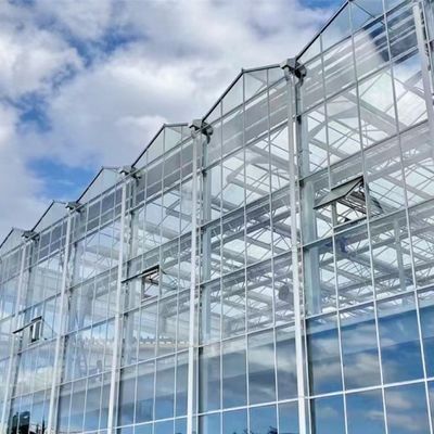 80.000kg de peso bruto de vidro de dupla camada Hidropónico de estufa para o cultivo de vegetais