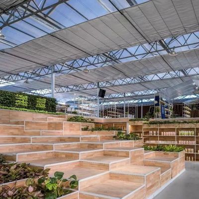 Tecto em forma de um tipo de telhado Hidropônica de vidro de estufa para grande cultivo de vegetais