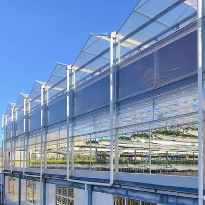 Sistema de vegetação hidropônica de estufa de vidro para máxima eficiência hídrica