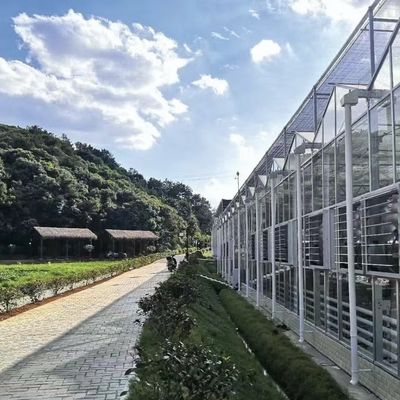 Sistema de vegetação hidropônica de estufa de vidro para máxima eficiência hídrica