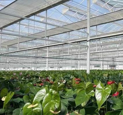 Hidroponia Estufas de vidro com sistema de tela de sombreamento