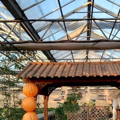 Vegetais hidropônicos avançados em grandes estufas de vidro