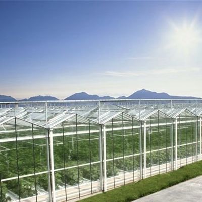 Vegetais hidropônicos avançados em grandes estufas de vidro
