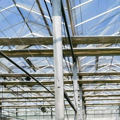 Um tipo de estufa de vidro para vegetais hidropônicos