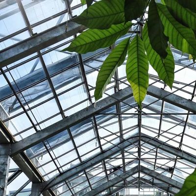 Pacote de estufa de vidro para o cultivo hidropónico de vegetais Peso bruto 80.000 kg