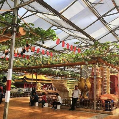 Pacote de estufa de vidro para o cultivo hidropónico de vegetais Peso bruto 80.000 kg