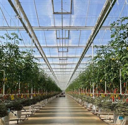 US Float Single Span Greenhouse para produtos hortícolas/frutas/flores e restituições de devolução