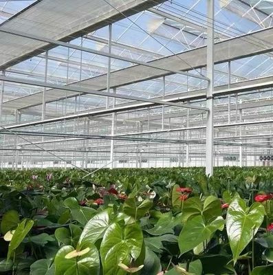 US Float Single Span Greenhouse para produtos hortícolas/frutas/flores e restituições de devolução