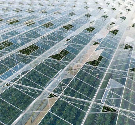 US Float Single Span Greenhouse para produtos hortícolas/frutas/flores e restituições de devolução