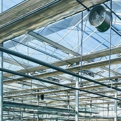 Sistema hidropónico de estufa de vidro de camada dupla com integração de tecnologia multi-span